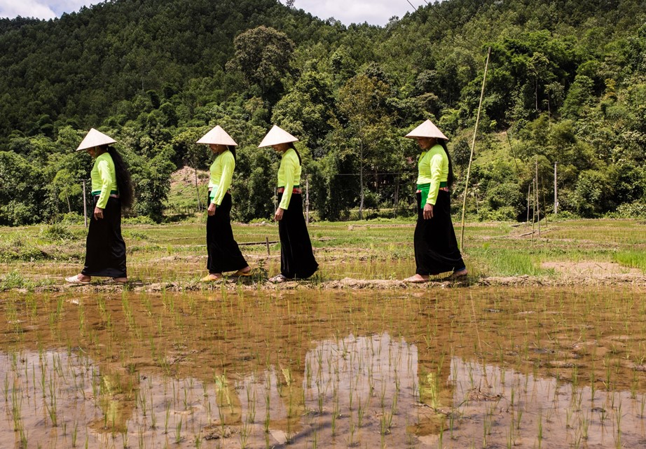 Ireland’s engagement in Vietnam and the Mekong Sub-region 