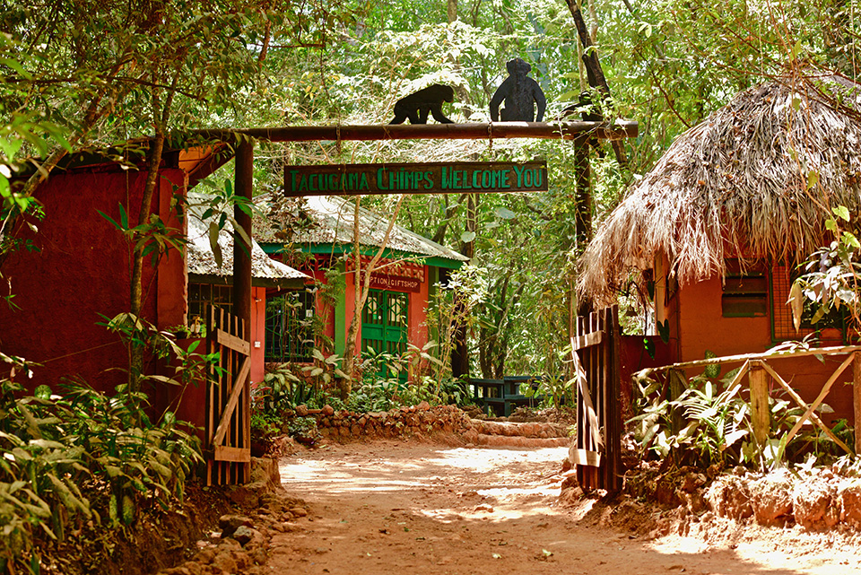 Tacugama Chimpanzee Sanctuary